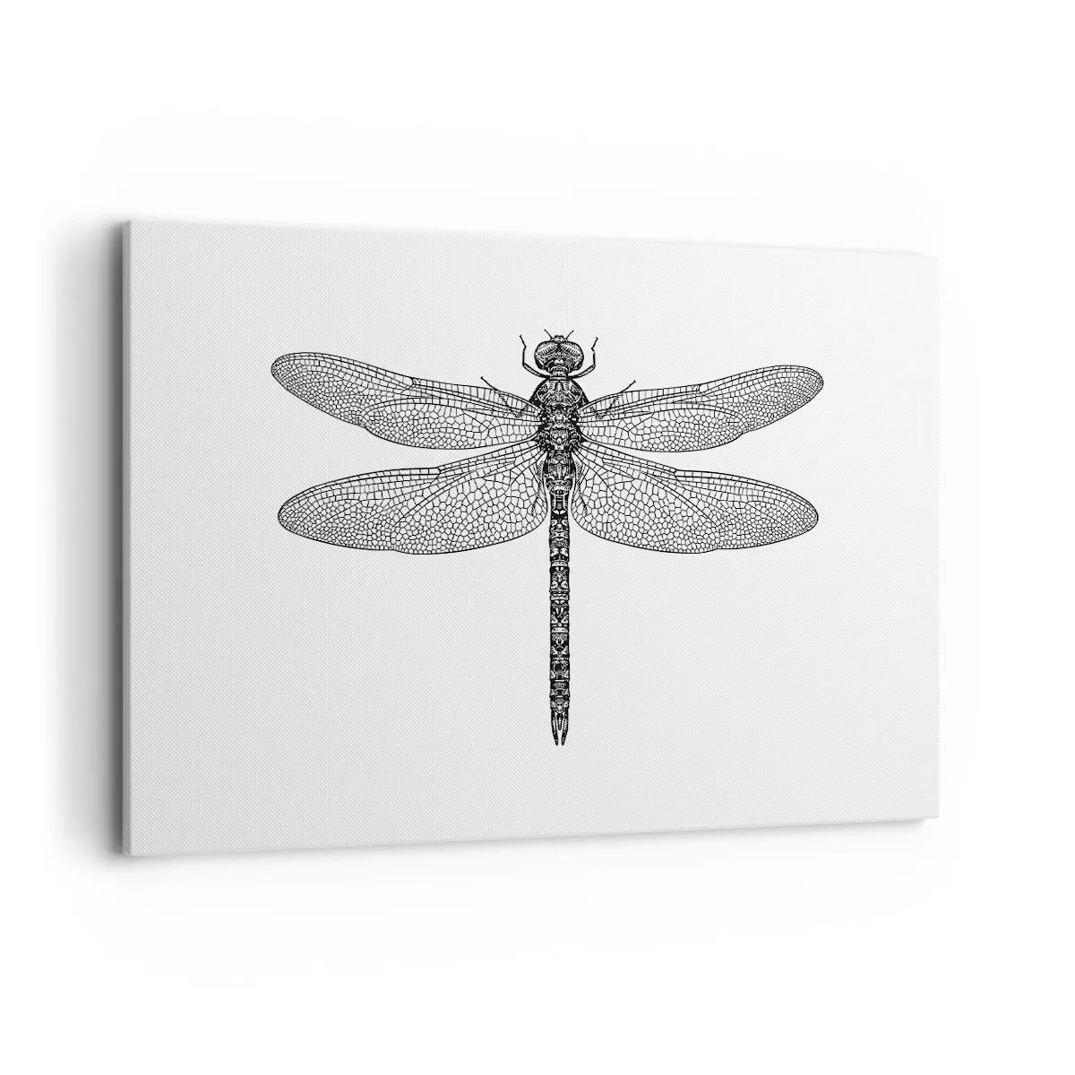 Canvastavla - Bild på duk - Precision i naturen - 100x70 cm