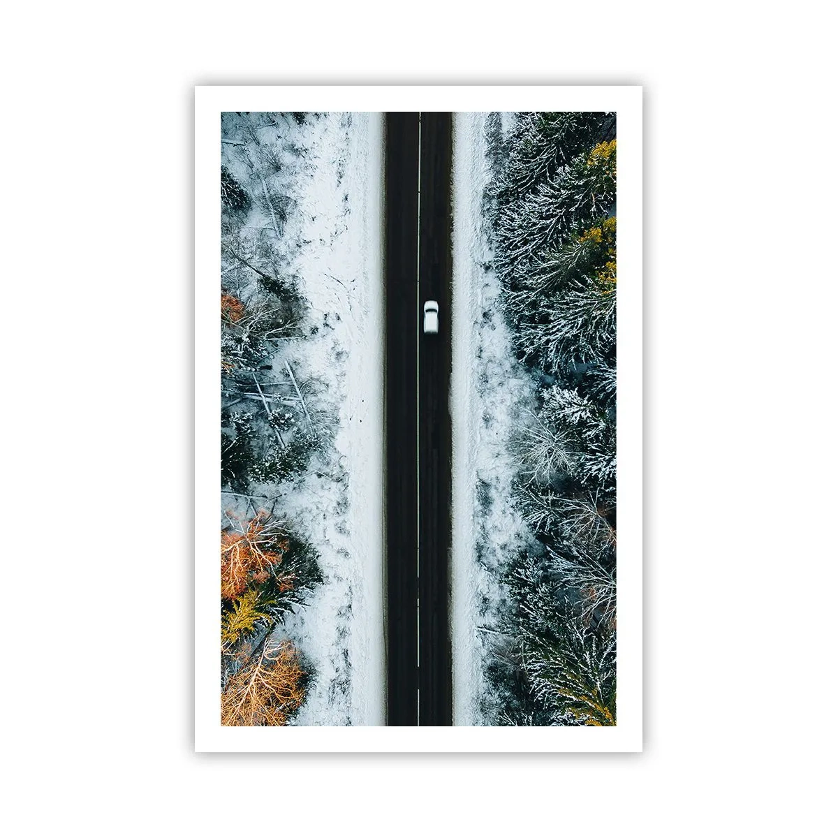 Affisch - Genom vinterskogen - 61x91 cm