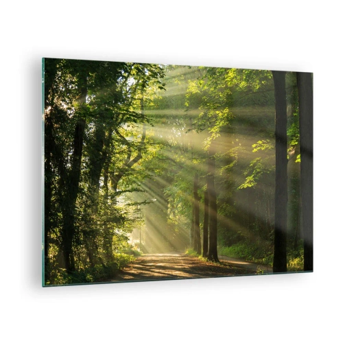 Glastavla - Bild på glas - En skogsstig upplyst av solens strålar - 70x50cm - En stund i skogen - Modern väggdekoration för vardagsrum och sovrum ARTTOR