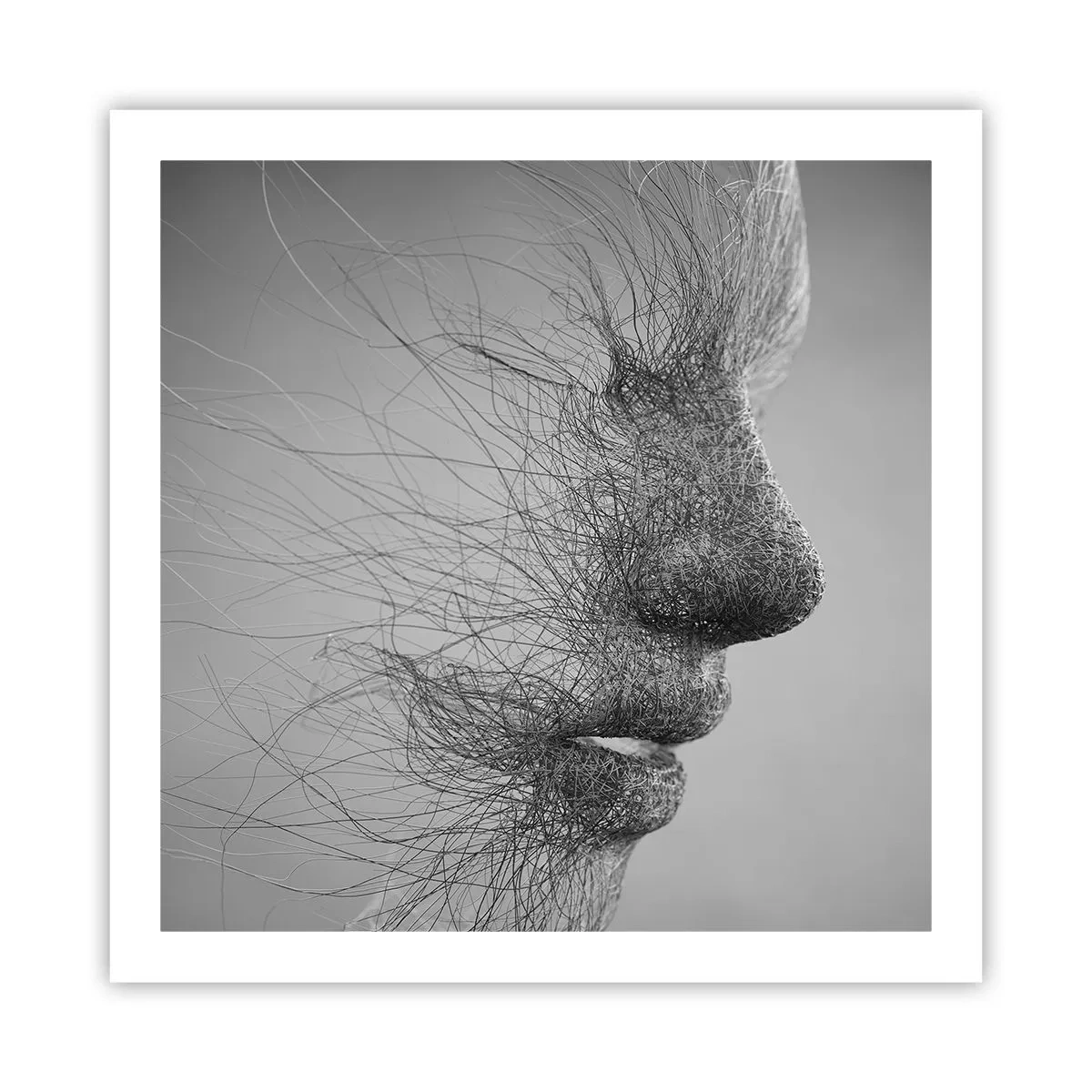 Affisch - Vindens ande - 60x60 cm