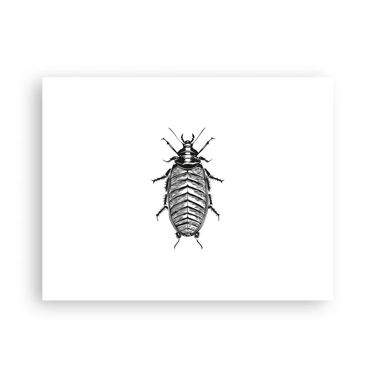 Affisch - Vilket exemplar! - 40x30 cm