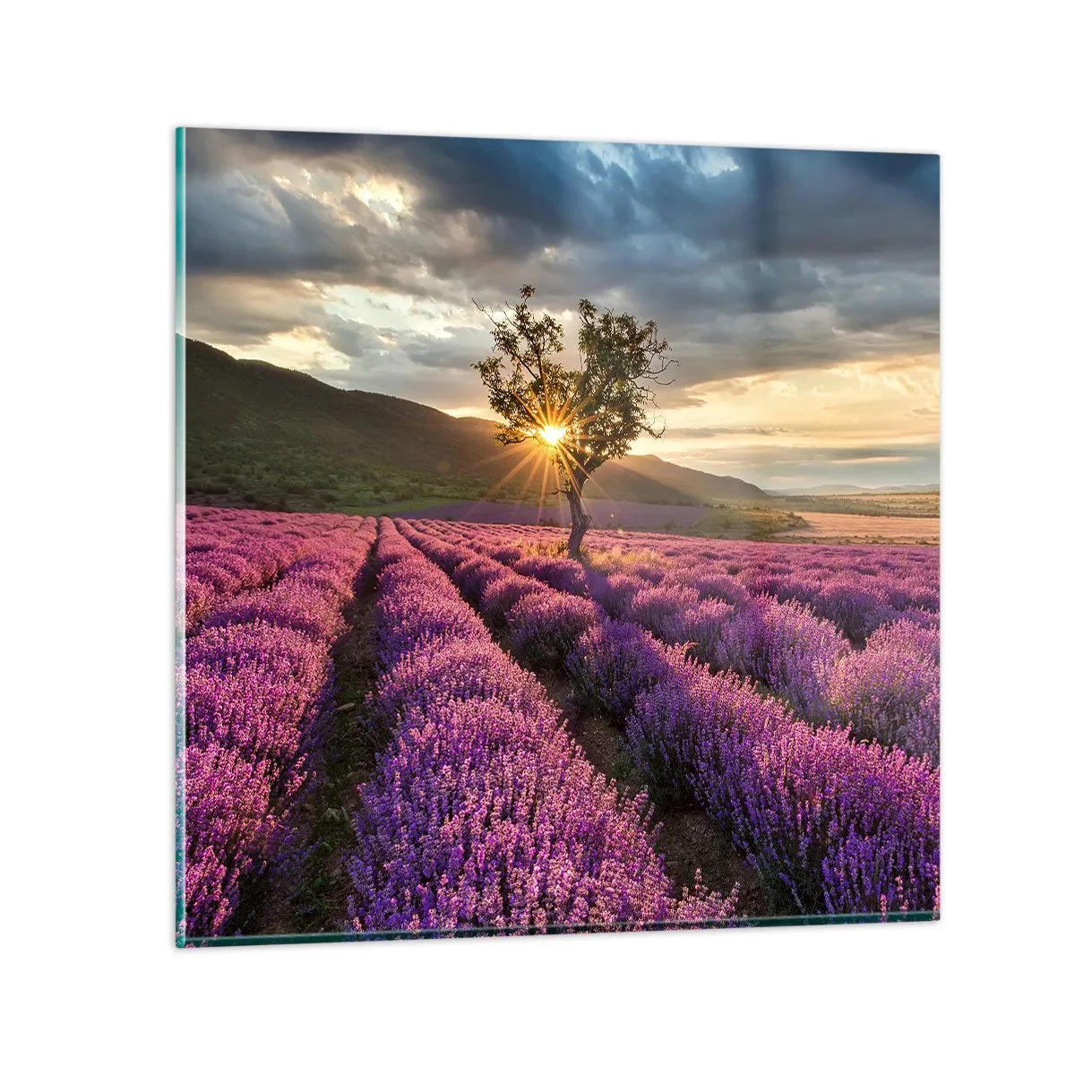 Glastavla - Bild på glas - Arom i lila färg - 60x60 cm
