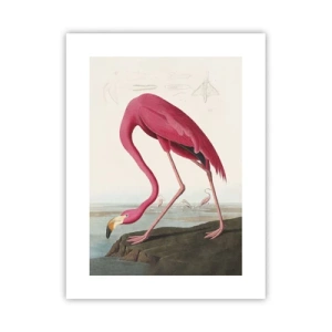 Affisch - Underlig varelse - 30x40 cm