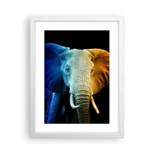 Affisch i vit ram - Excentriker, ej kuf - 30x40 cm