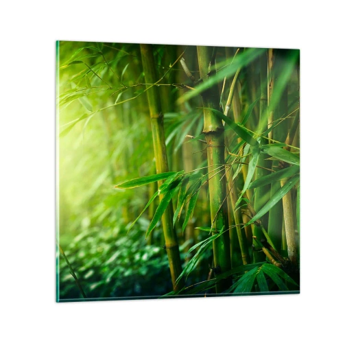 Glastavla - Bild på glas - Lär känna grönskan i sig - 40x40 cm