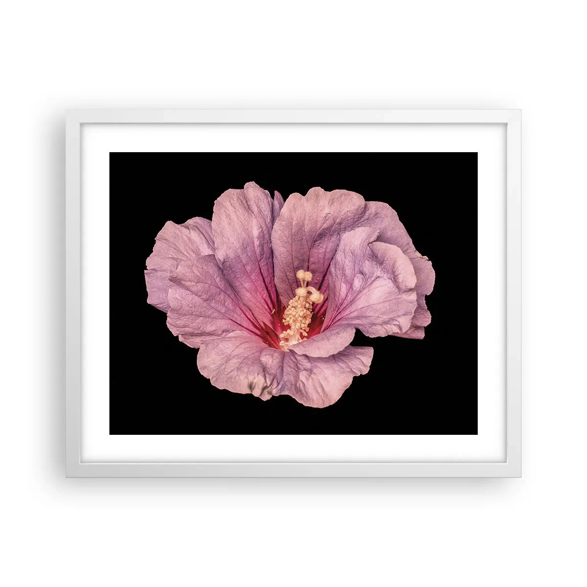 Affisch i vit ram - Rakt till hjärtat - 50x40 cm