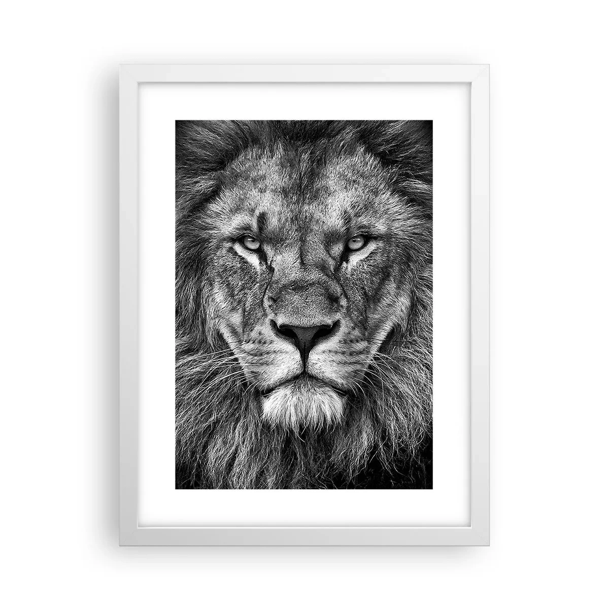 Affisch i vit ram - I kröningskläder - 30x40 cm