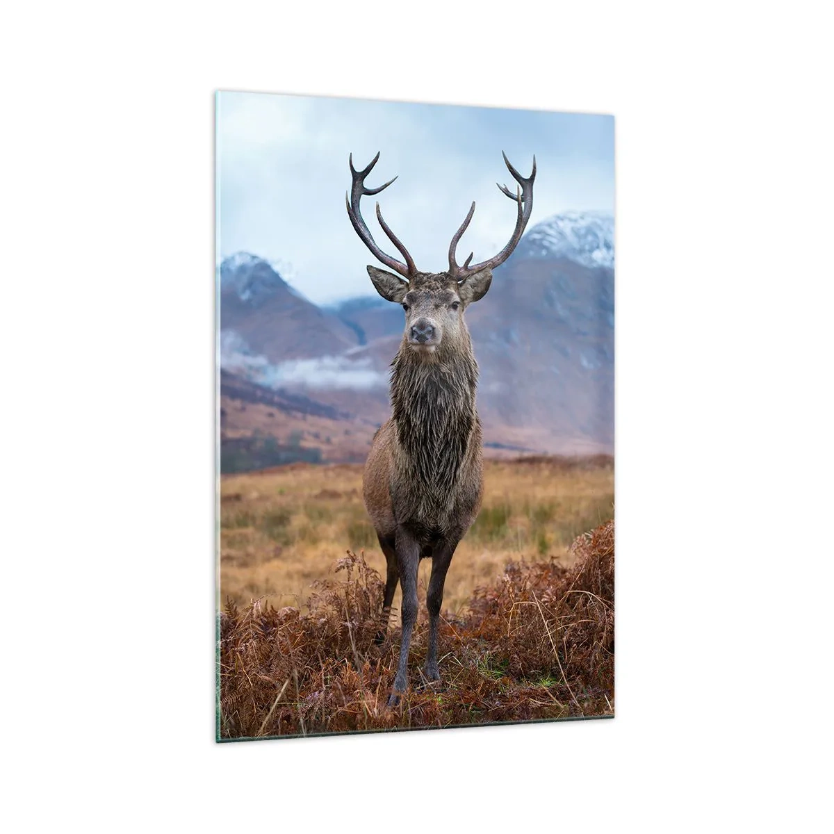 Glastavla - Bild på glas - På egen mark - 70x100 cm