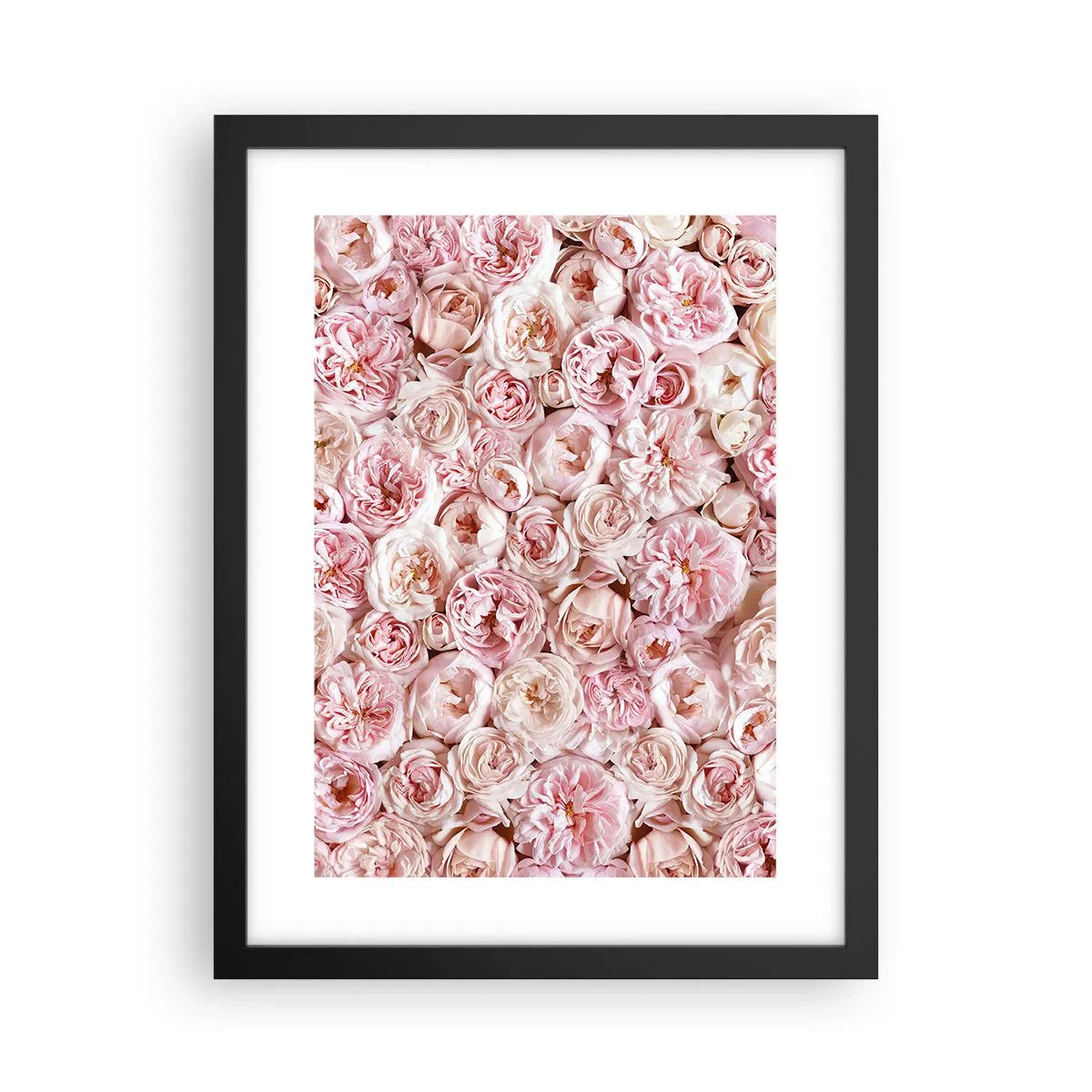 Affisch i svart ram - Strödd med rosor - 30x40 cm