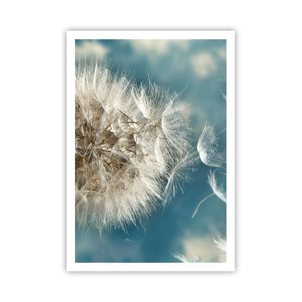 Affisch - Ängelns andetag - 70x100 cm