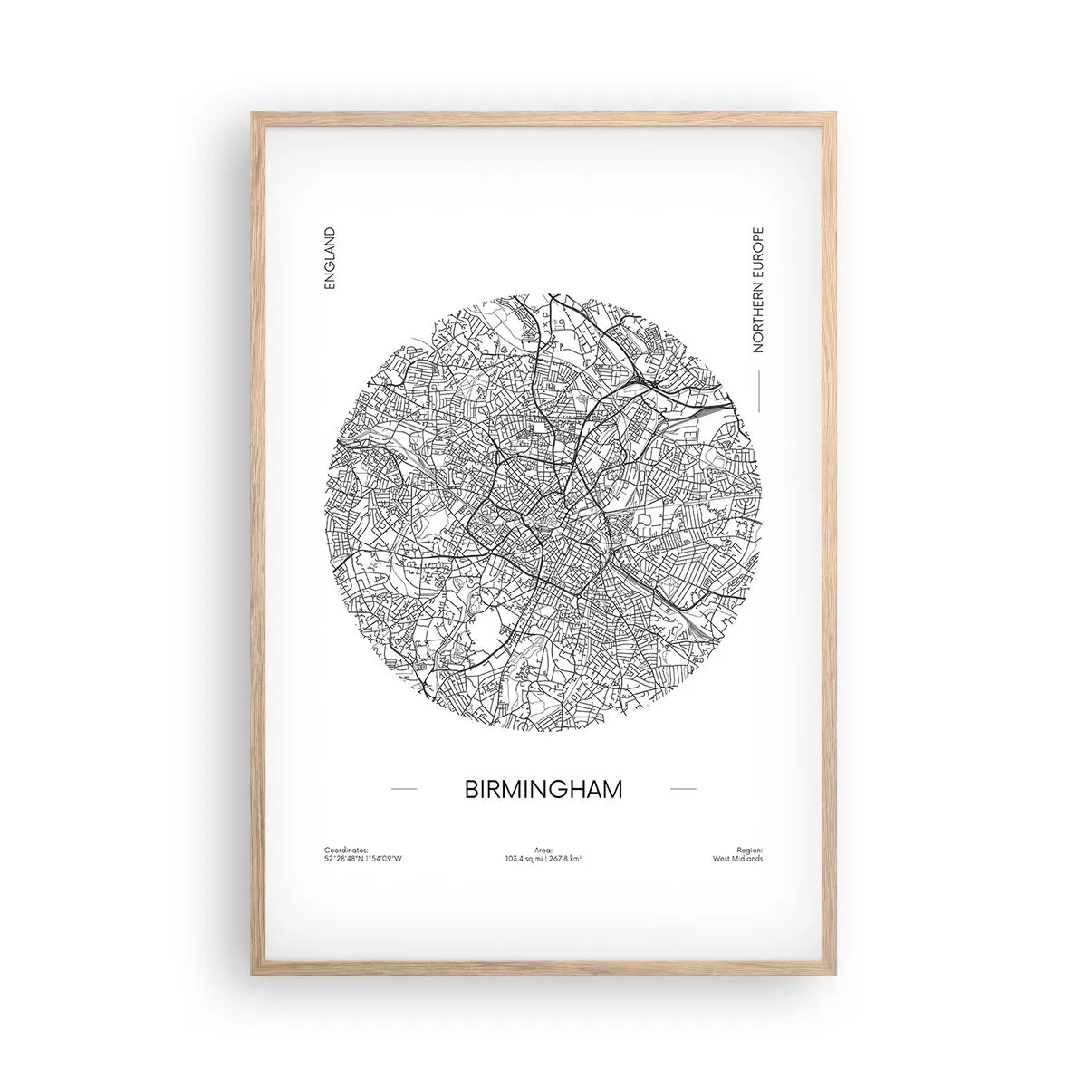 Affisch i ram av ljusek - Birminghams anatomi - 61x91 cm