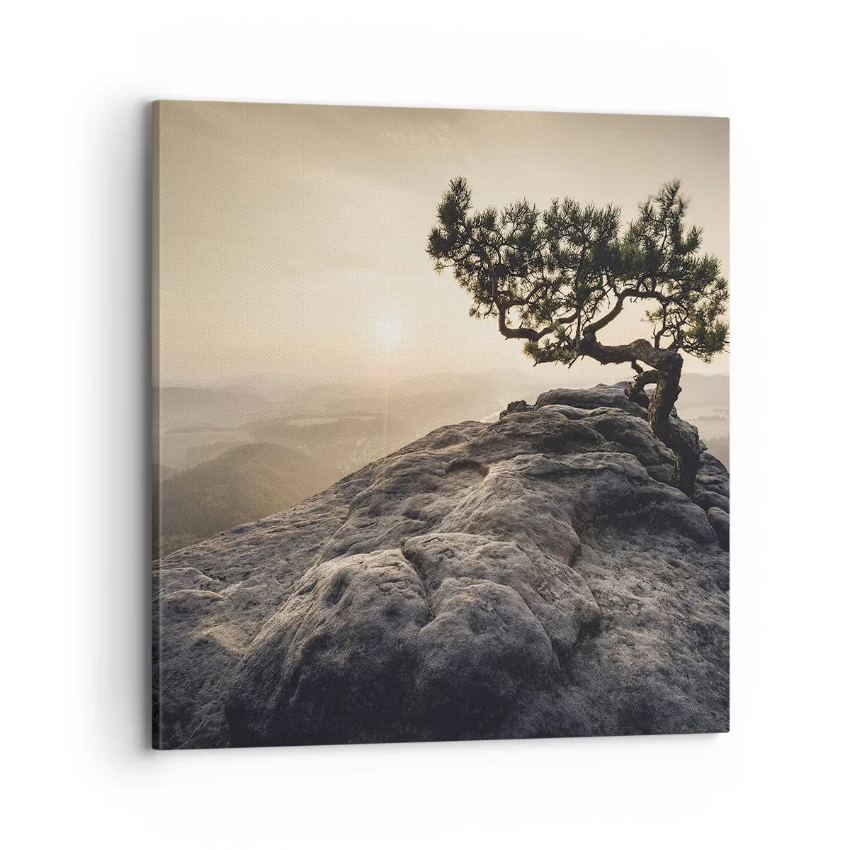 Canvastavla - Bild på duk - Livet vinner alltid - 70x70 cm