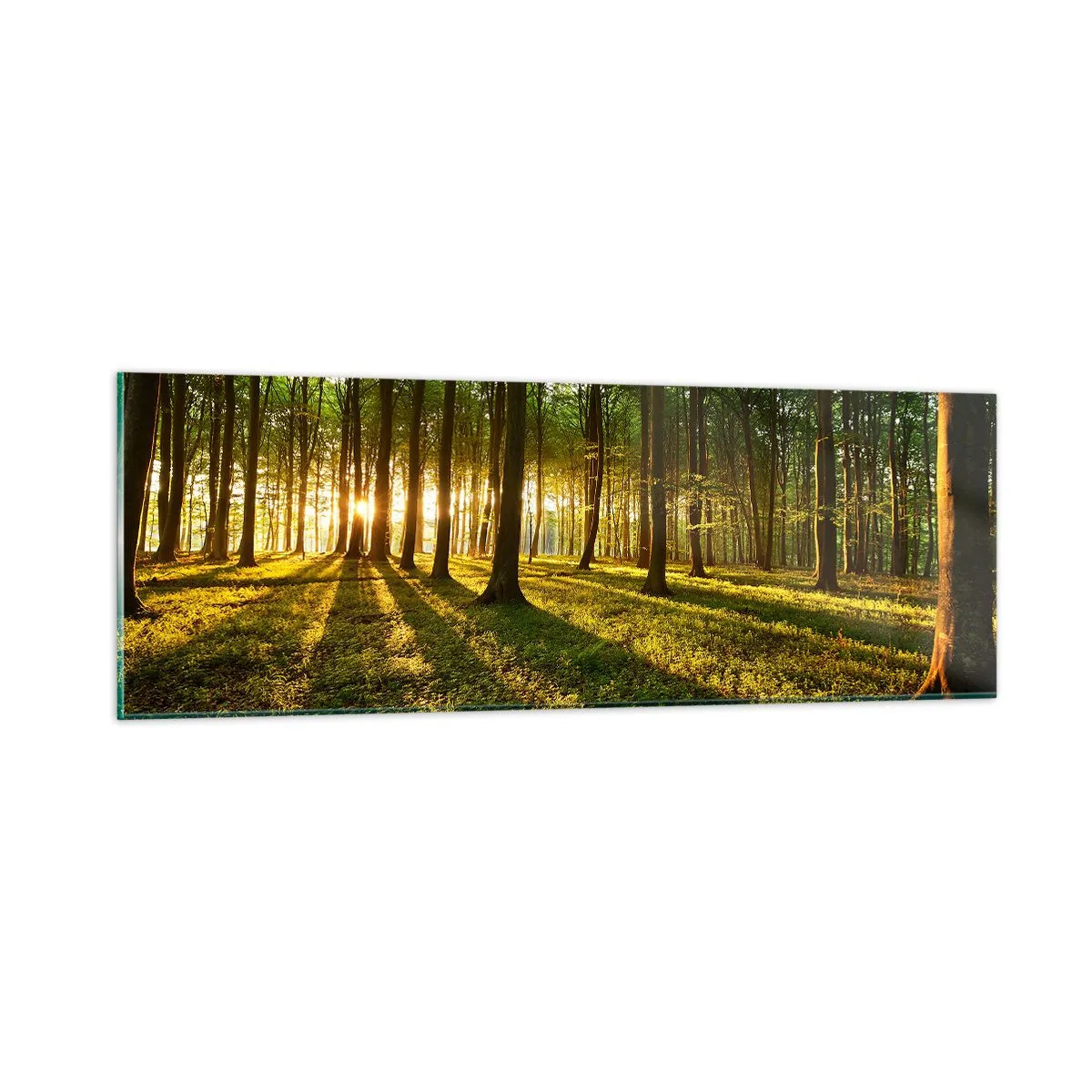 Glastavla - Bild på glas - Fotografi av alla vårar - 90x30 cm