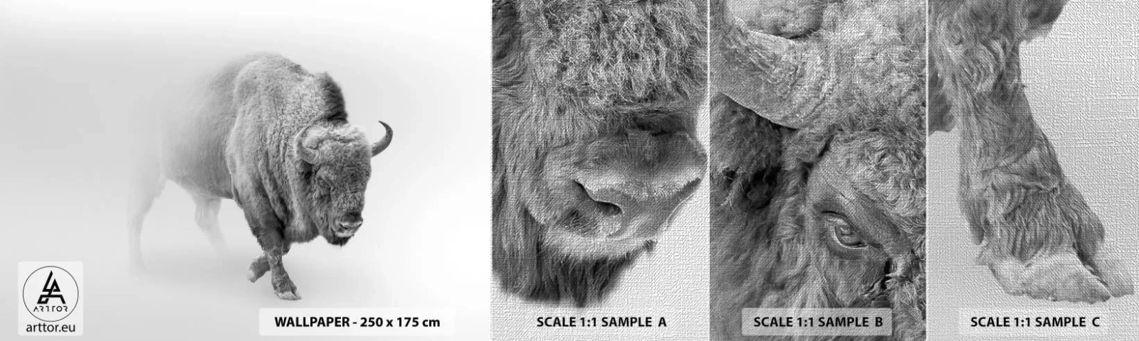 Provbit av fototapet Premium Canvas - Präriens kung - Wisent, Djur, Bison - 100x30 cm