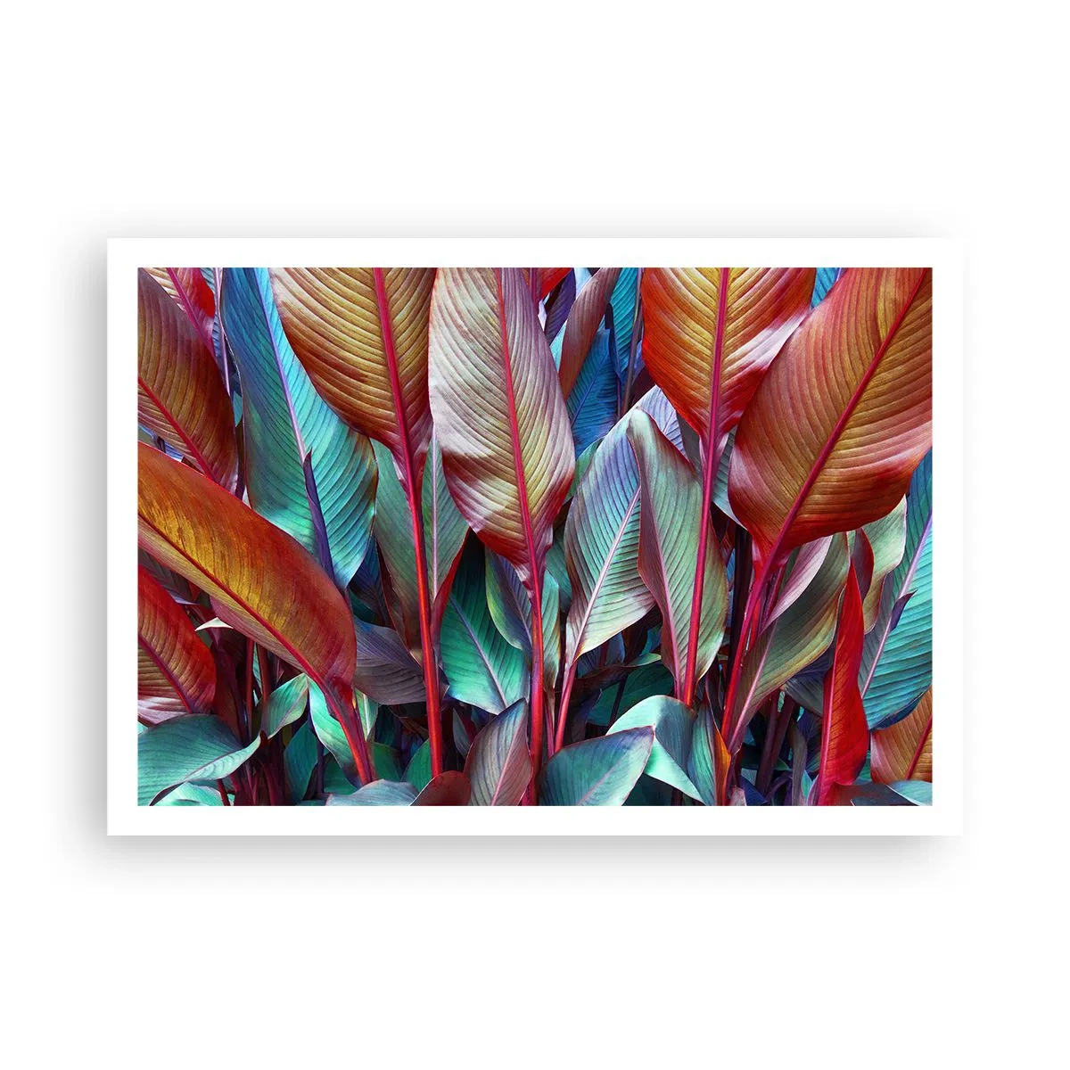 Affisch - En färgglad tätskog - 100x70 cm