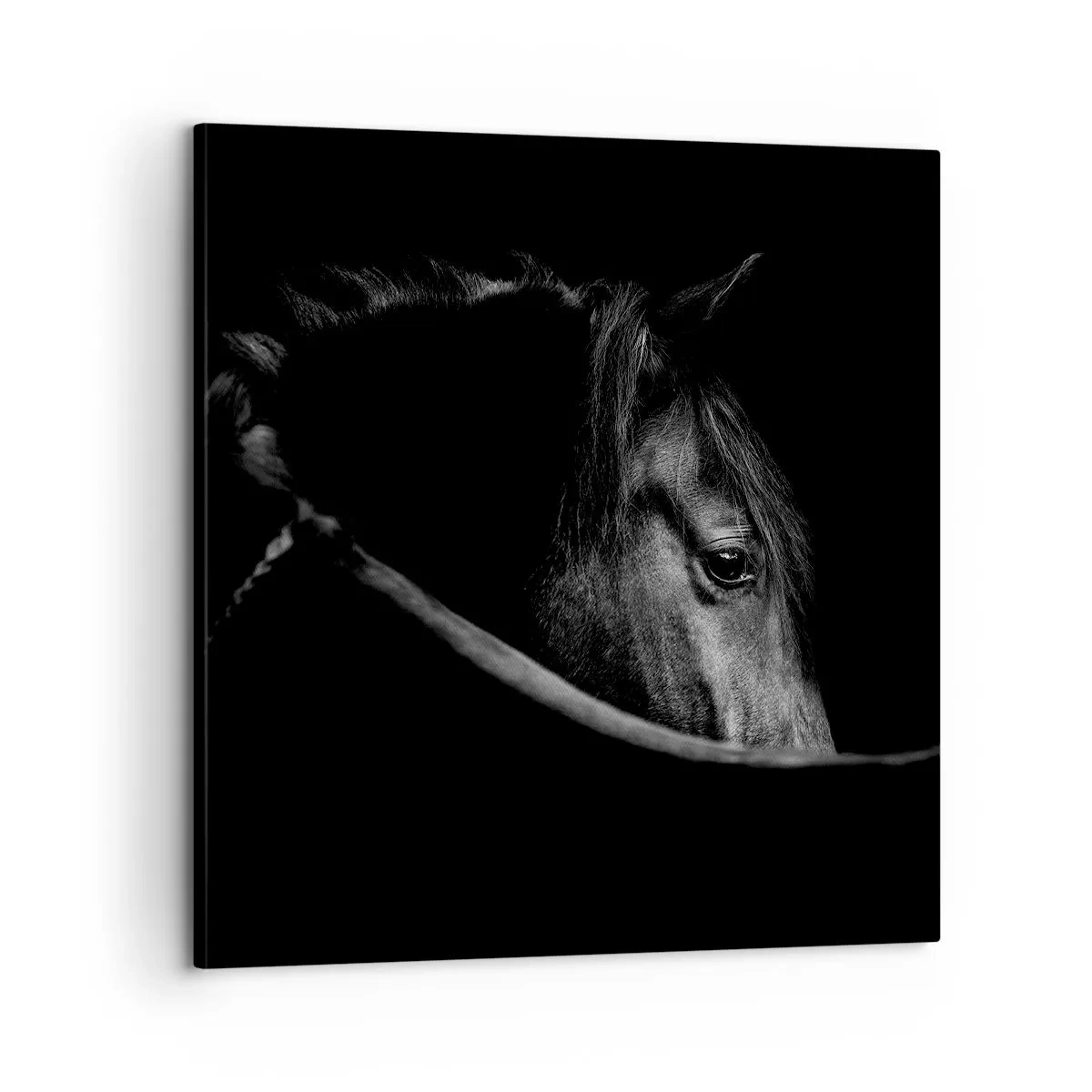 Canvastavla - Bild på duk - Svart prins - 60x60 cm