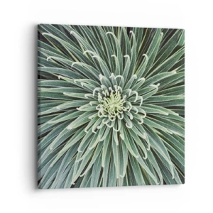 Canvastavla - Bild på duk - Stjärna föds - 30x30 cm
