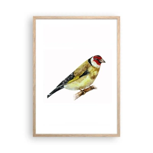 Affisch i ram av ljusek - Fågelporträtt - 50x70 cm