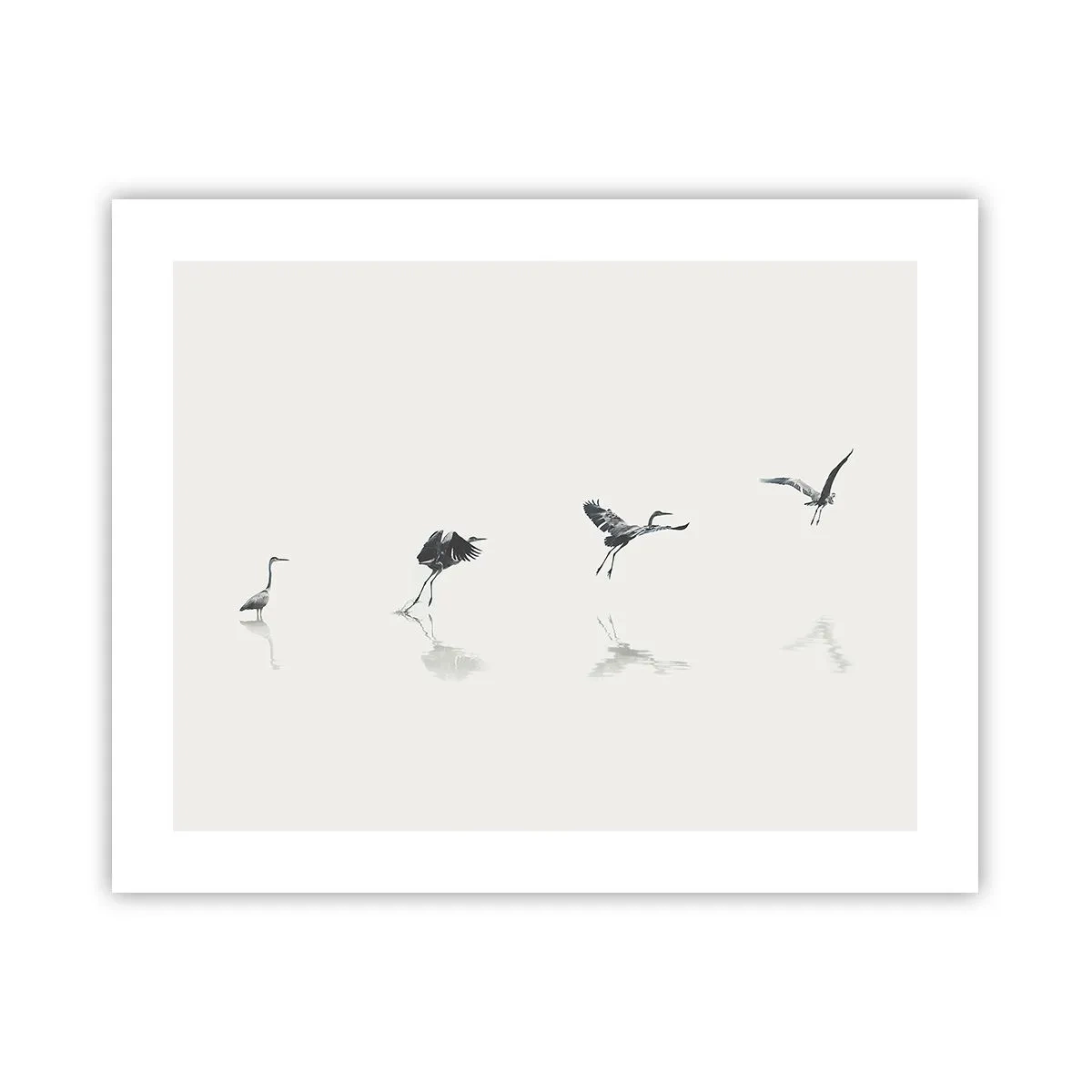 Affisch - Fyra enkla steg - 50x40 cm