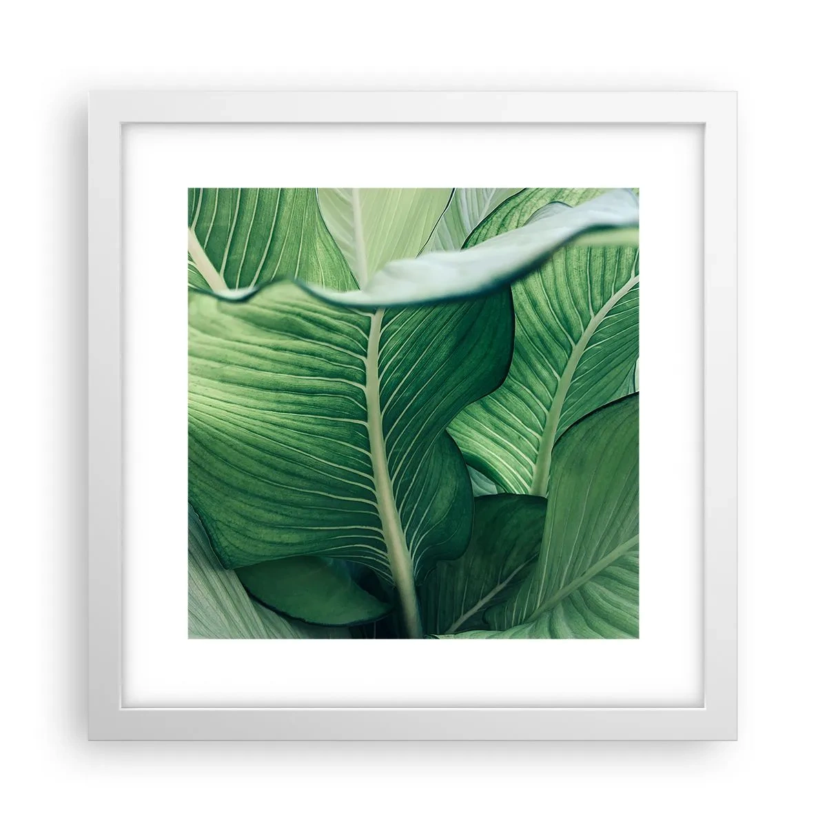 Affisch i vit ram - Livet intensivt grönt - 30x30 cm