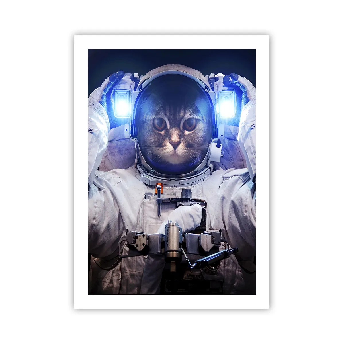 Affisch - Houston, ni har problem - 50x70 cm