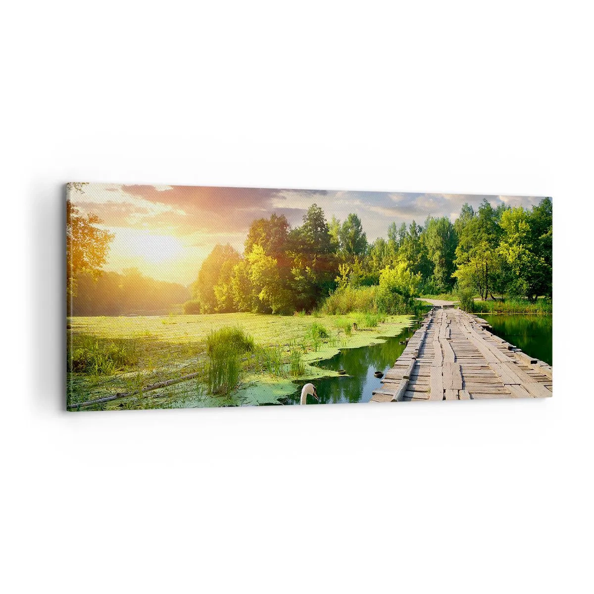 Canvastavla - Bild på duk - Sommar, sommar överallt - 100x40 cm