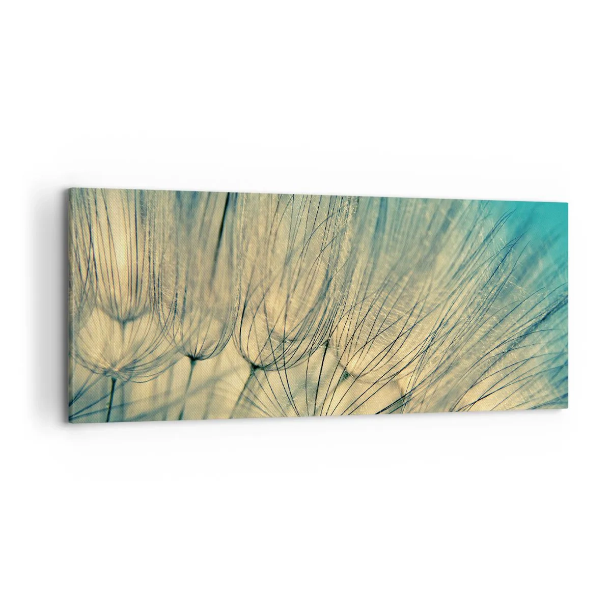 Canvastavla - Bild på duk - I väntan på vinden - 100x40 cm