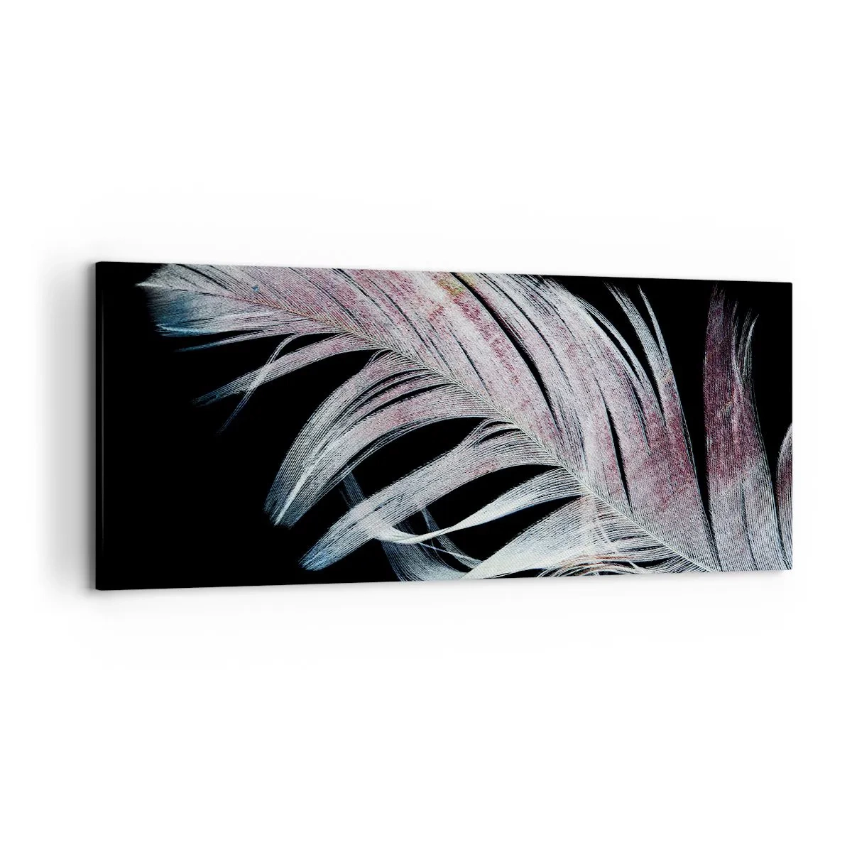 Canvastavla - Bild på duk - Tänk på smekning - 120x50 cm