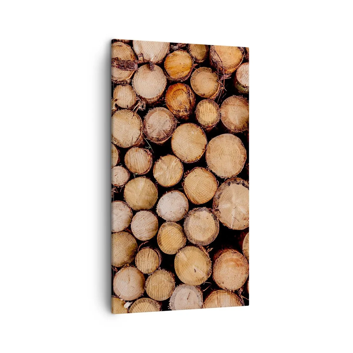 Canvastavla - Bild på duk - Ny början - 45x80 cm