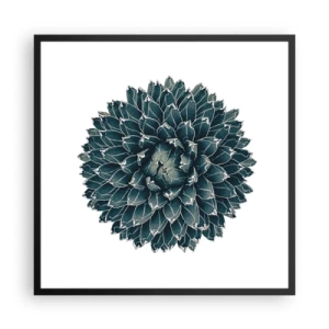 Affisch i svart ram - Öknens stjärna - 60x60 cm