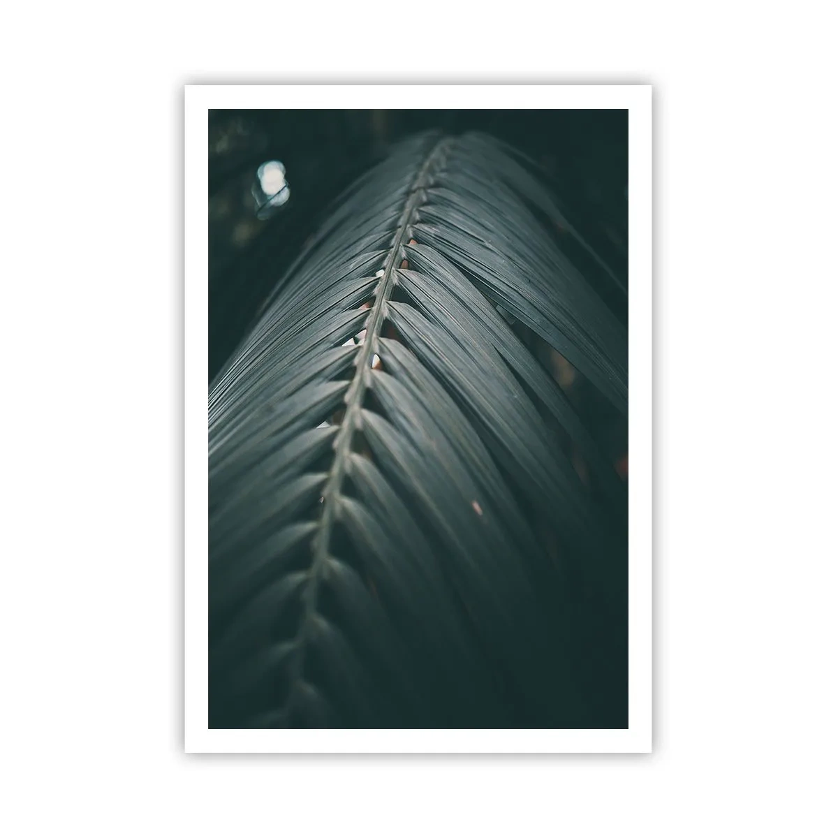 Affisch - Naturens precision - 70x100 cm