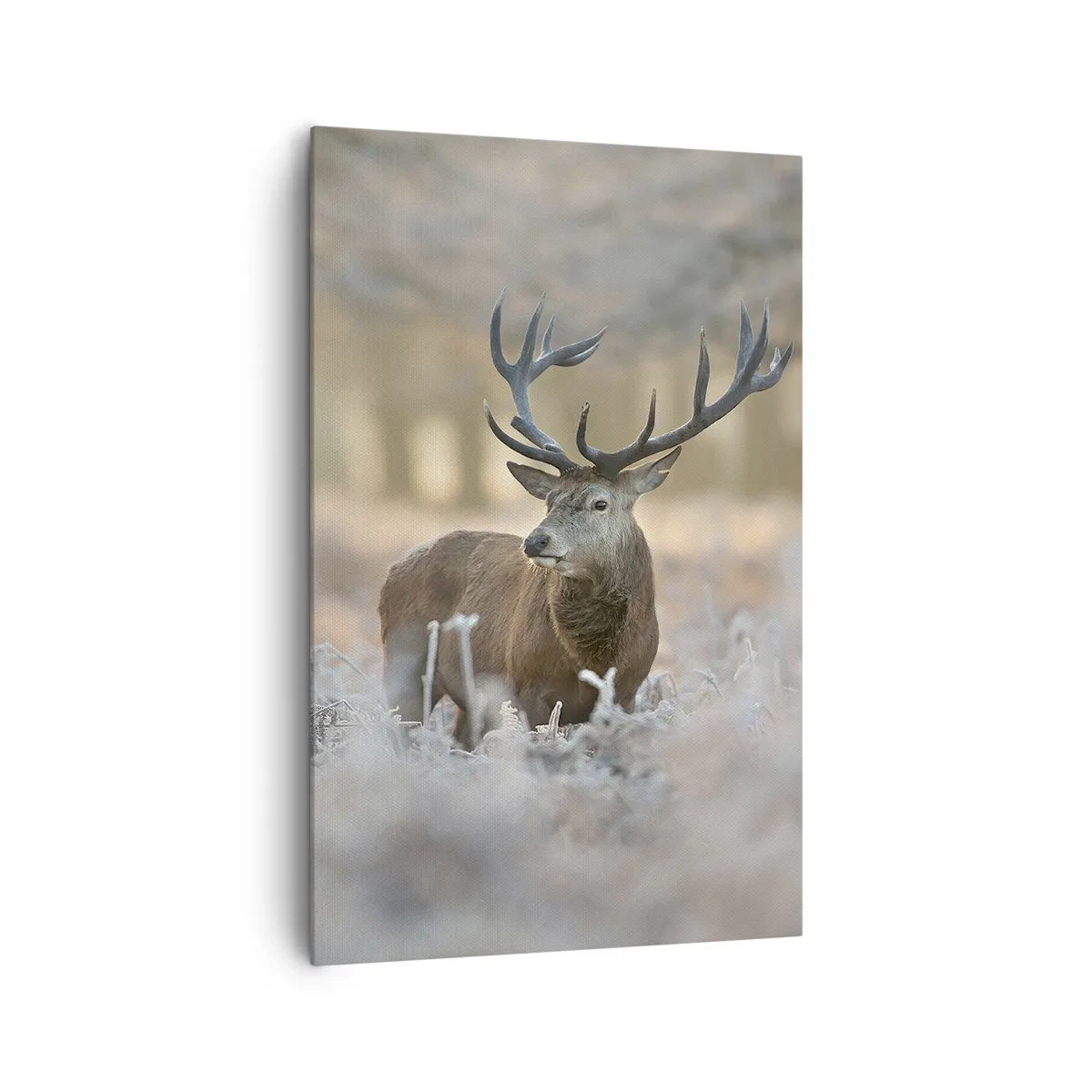 Canvastavla - Bild på duk - Uppfriskande morgon - 80x120 cm