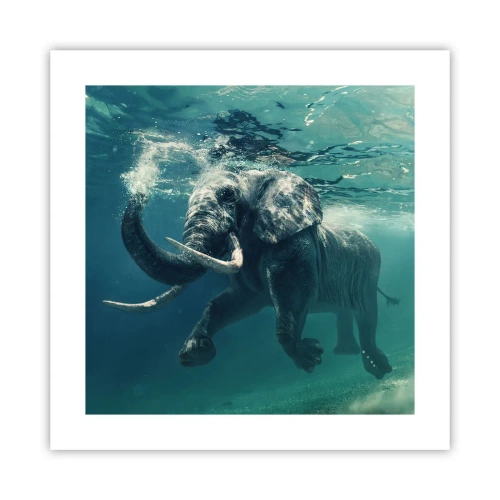 Affisch - Alla tycker om att simma - 40x40 cm