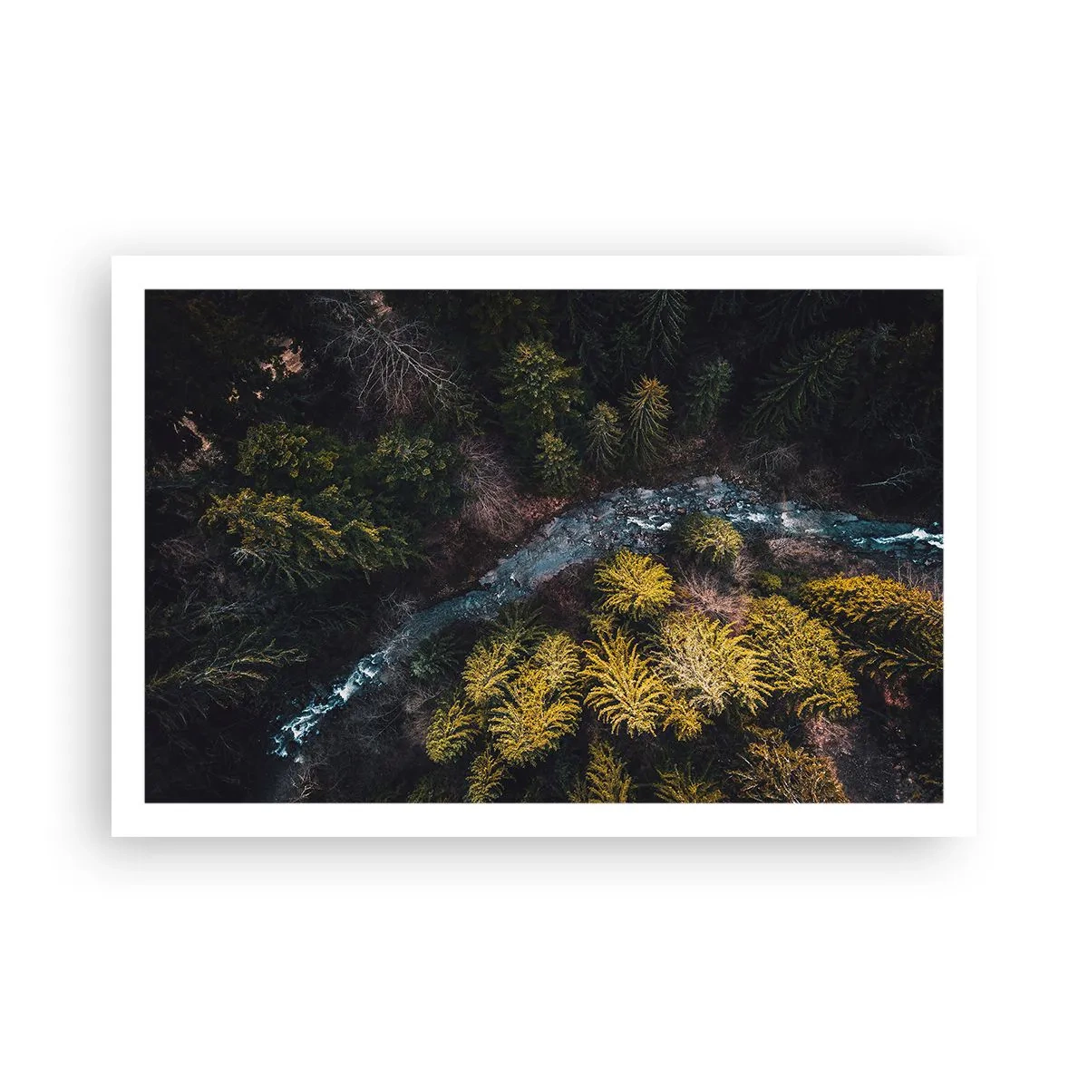 Affisch - Snabbt, allt snabbare - 91x61 cm
