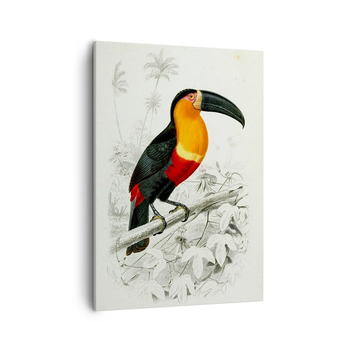 Canvastavla - Bild på duk - Fåglarnas färger - 50x70 cm