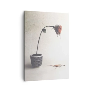 Canvastavla - Bild på duk - Rosa dolorosa - 50x70 cm