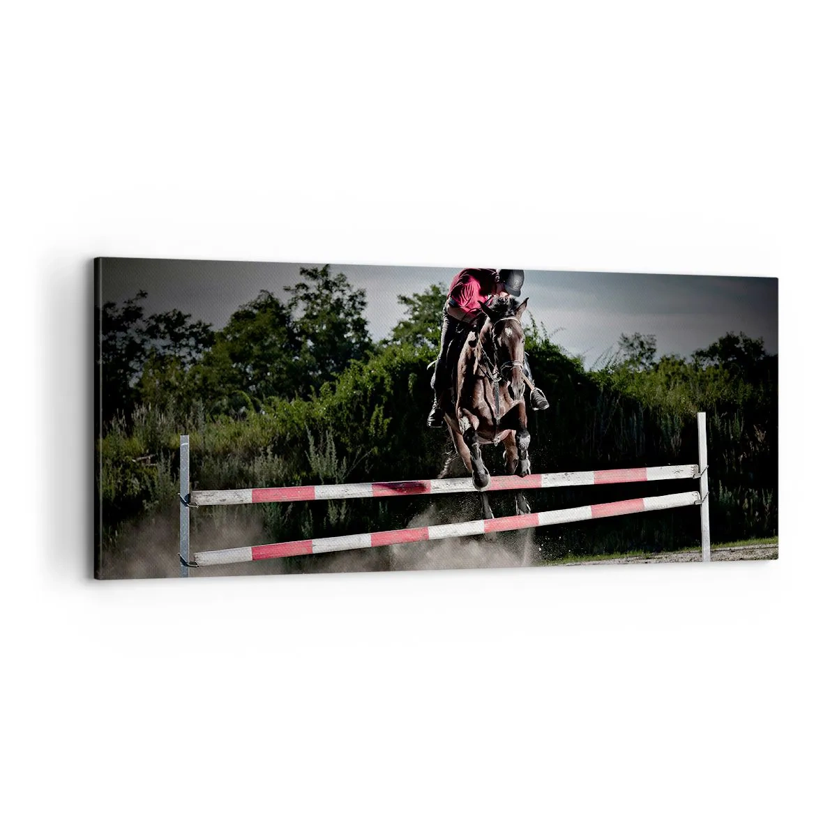 Canvastavla - Bild på duk - Tillsammans mot seger - 100x40 cm
