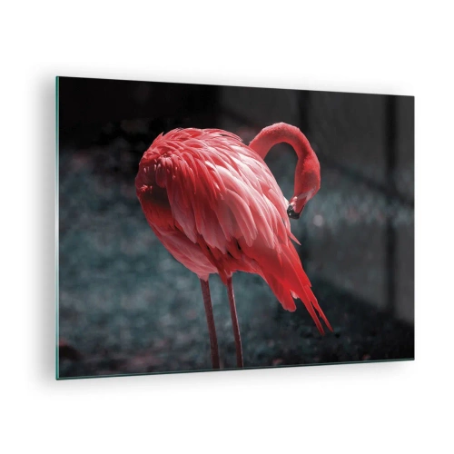 Glastavla - Bild på glas - En flamingo i intensiva röda nyanser mot en mörk bakgrund - 70x50cm - Djuprött naturpoem - Modern väggdekoration för vardagsrum och sovrum ARTTOR