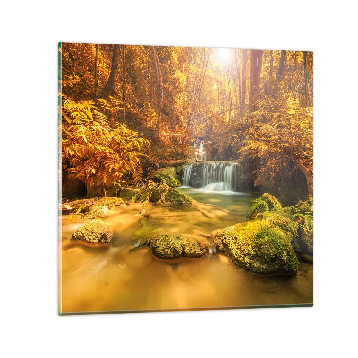 Glastavla - Bild på glas - Skogkaskad i gult - 60x60 cm