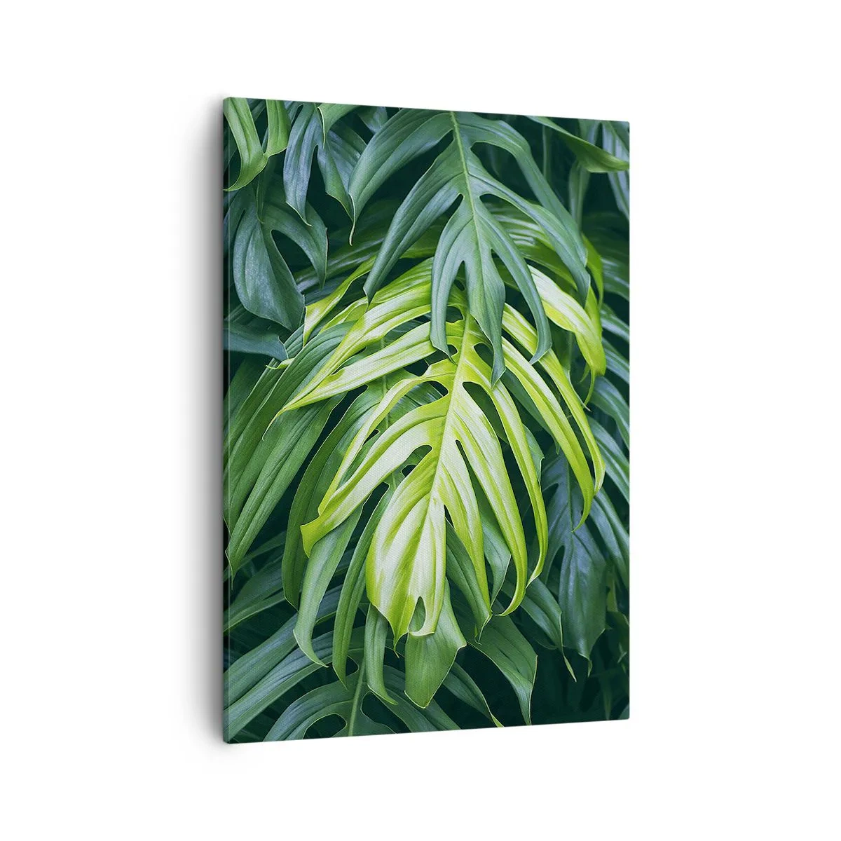 Canvastavla - Bild på duk - Doppa sig i fräschheten - 50x70 cm
