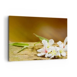 Canvastavla - Bild på duk - Oskyldigt löfte - 100x70 cm