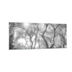 Glastavla - Bild på glas - I en olivlund - 100x40 cm