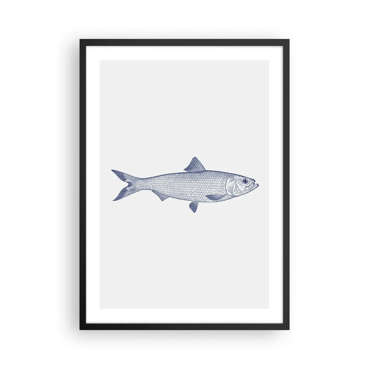 Affisch i svart ram - Minimalistisk vintage fiskillustration - 50x70cm - Hälsningar från de nordliga haven - Modern väggdekoration för vardagsrum och sovrum ARTTOR