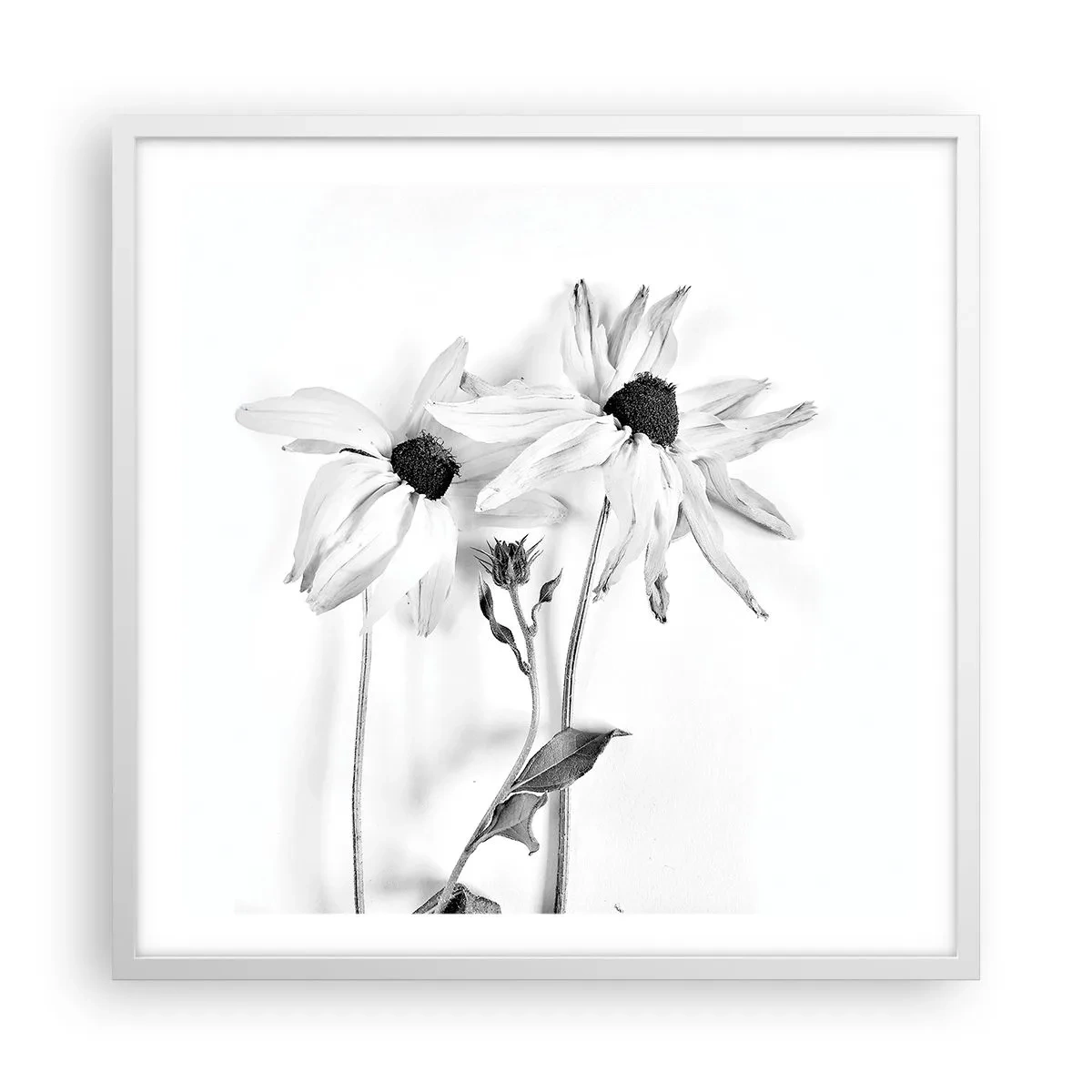 Affisch i vit ram - Ingen vill vara ensam - 60x60 cm