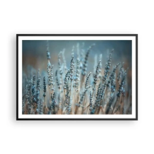 Affisch i svart ram - Doftande åkermark - 100x70 cm