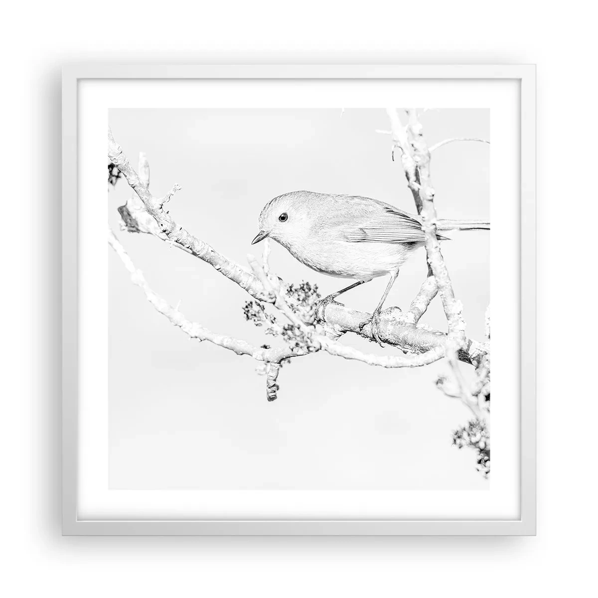 Affisch i vit ram - Vintermorgon - 50x50 cm