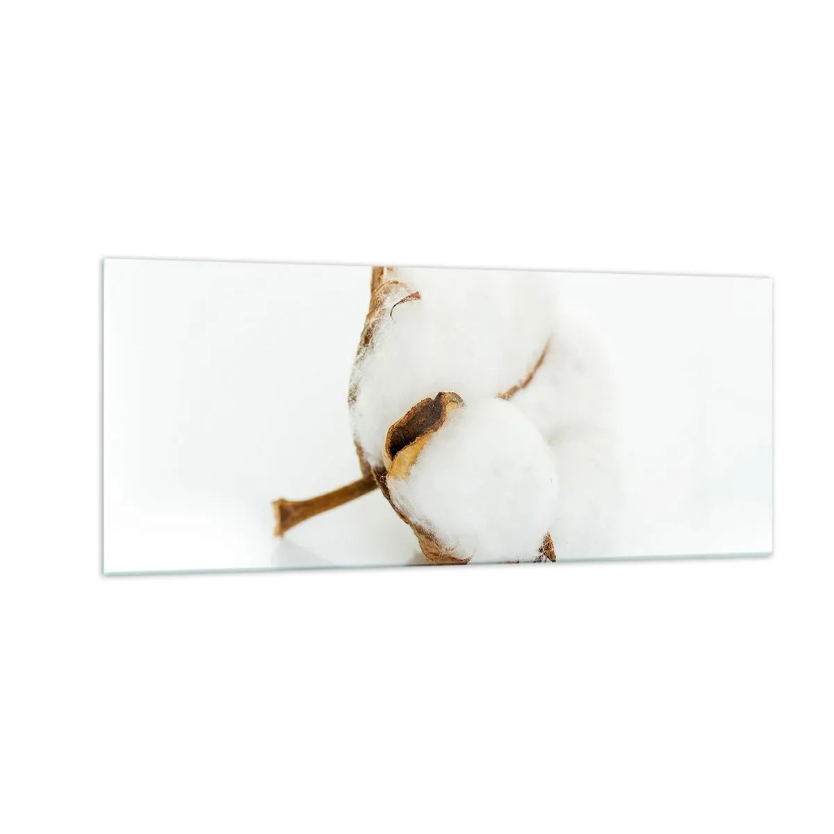 Glastavla - Bild på glas - Mjuk av naturen - 100x40 cm