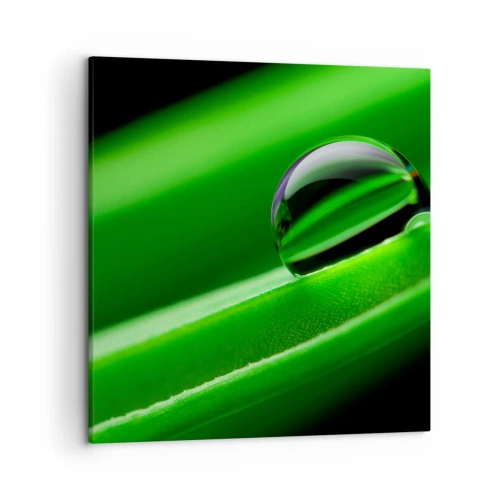 Canvastavla - Bild på duk - Livet på nära håll - 50x50 cm