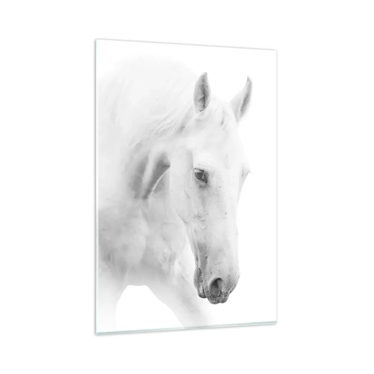 Glastavla - Bild på glas - Är det vänskap…? - 80x120 cm