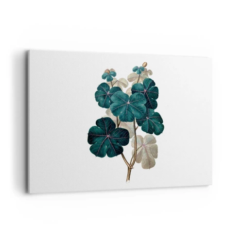 Canvastavla - Bild på duk - Från ett gammalt herbarium - 100x70 cm